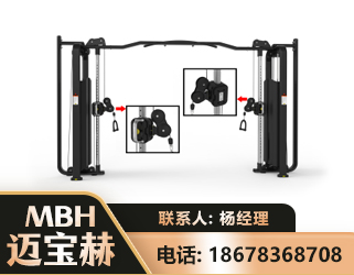 温州大飞鸟训练器