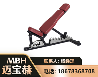 温州可调哑铃椅